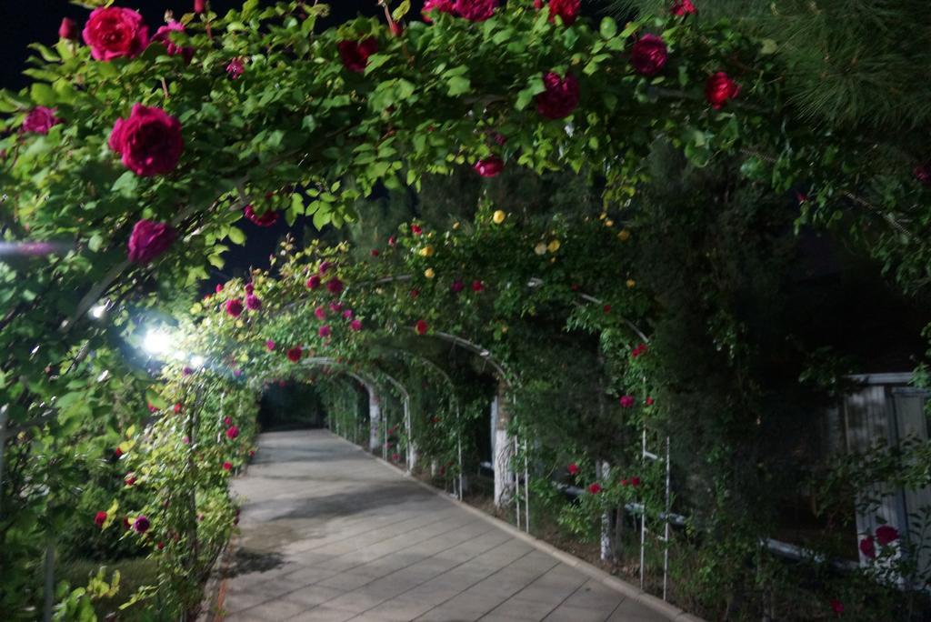 River Side Hotel Мингечевир Экстерьер фото