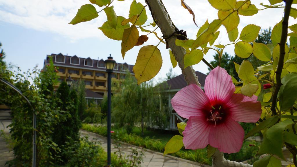 River Side Hotel Мингечевир Экстерьер фото